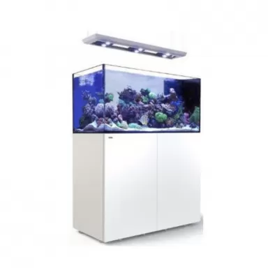 Reefer MAX Peninsula S-500 G2+ Komplettsystem | Corallandfishstore