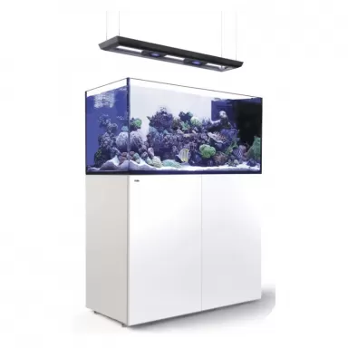 Reefer MAX Peninsula S-700 G2+ Komplettsystem | Corallandfishstore