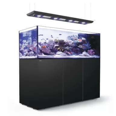 Reefer MAX Peninsula S-950 G2+ Komplettsystem | Corallandfishstore