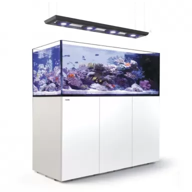 Reefer MAX Peninsula S-950 G2+ Komplettsystem | Corallandfishstore