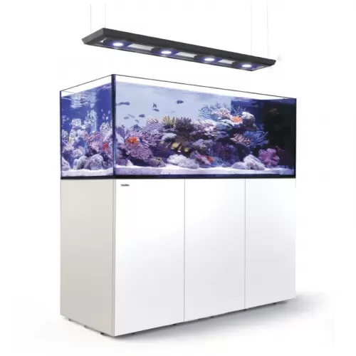 Reefer MAX Peninsula S-950 G2+ Komplettsystem | Corallandfishstore