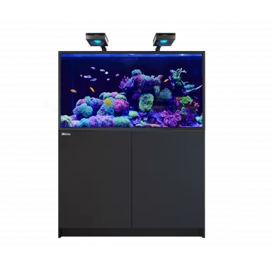 Red Sea REEFER™ MAX S-550  G2+ - Black