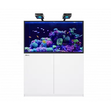 Red Sea REEFER™ MAX S-550  G2+ - White
