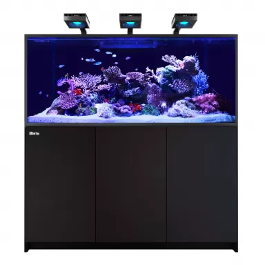 Red Sea REEFER™ MAX S-700 G2+ Black bestellen? l Coralandfishstore.nl