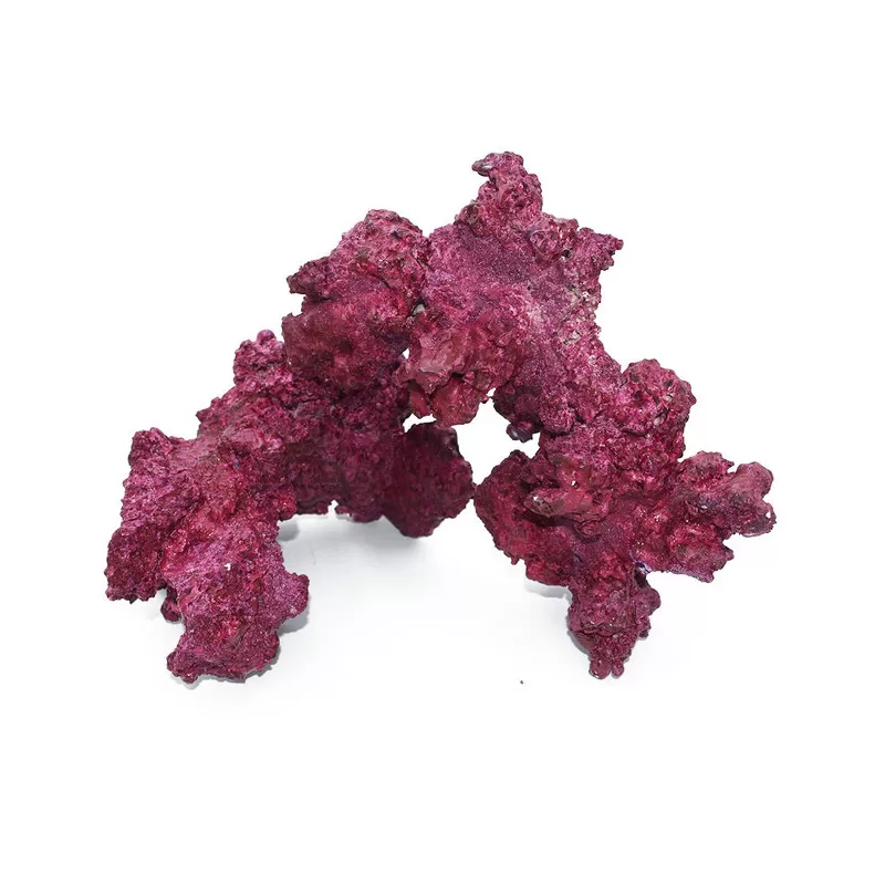 Real Reef Arches kopen | Coralandfishstore.nl Real Reef Arches kopen | Coralandfishstore.nl