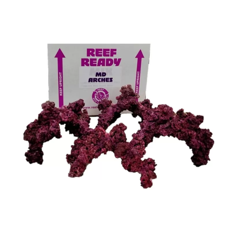Real Reef Arches kopen | Coralandfishstore.nl Real Reef Arches kopen | Coralandfishstore.nl