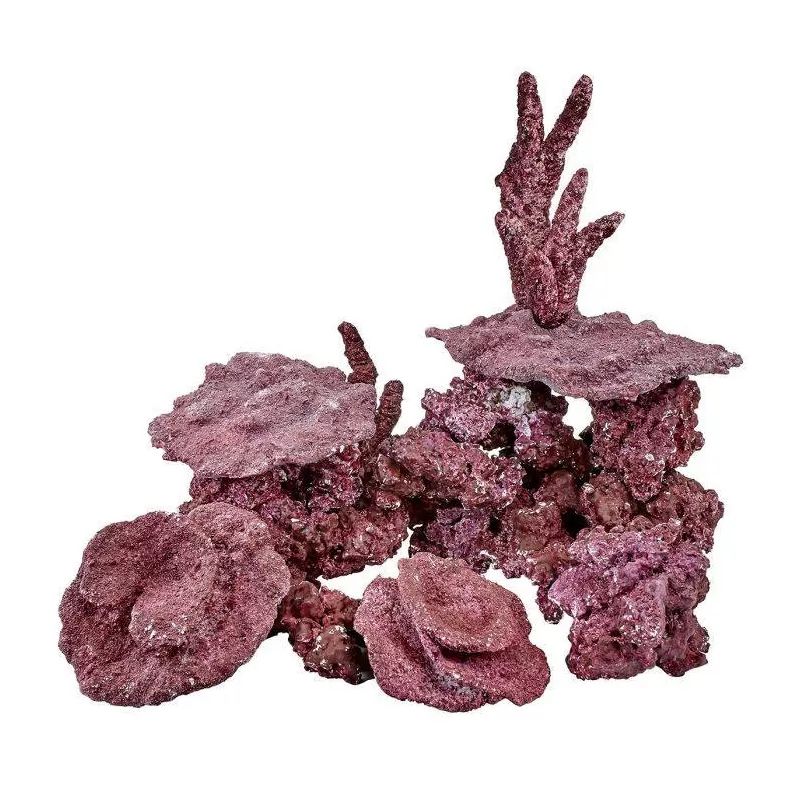 Real Reef Ready - Mix box 13,5 kg kopen | Coralandfishstore.nl Real Reef Ready - Mix box 13,5 kg kopen | Coralandfishstore.nl