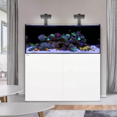 Waterbox Reef 130 4 White