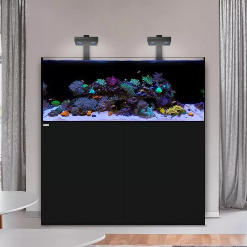 Möchten Sie Waterbox Reef 100.4 White bestellen? l Coralandfishstore.nl