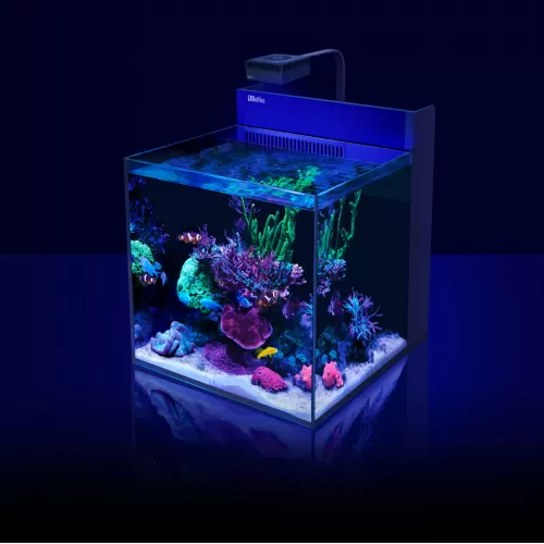 Möchten Sie Red Sea MAX NANO G2 XL ohne Möbel kaufen? | Coralandfishstore