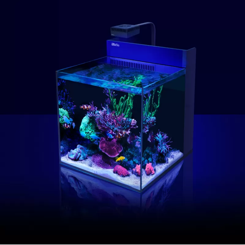 Red Sea MAX NANO G2 XL met zwart meubel kopen? | Coralandfishstore Red Sea MAX NANO G2 XL met zwart meubel kopen? | Coralandfishstore