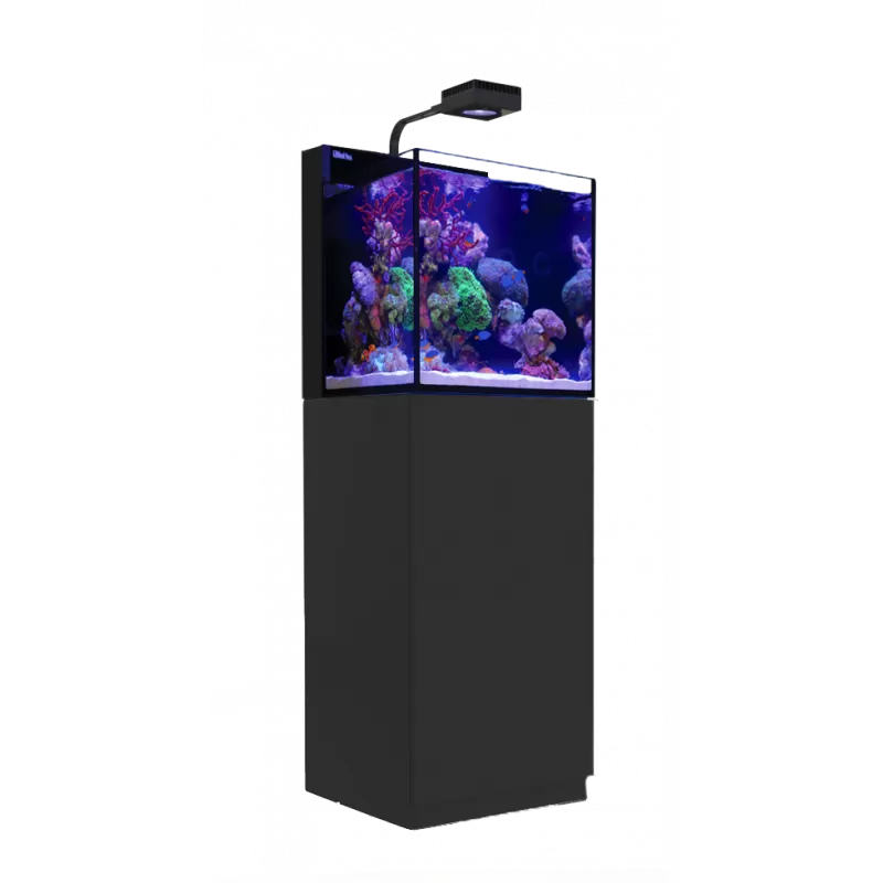 Red Sea MAX NANO G2 Cube kopen? | Coralandfishstore Red Sea MAX NANO G2 Cube kopen? | Coralandfishstore