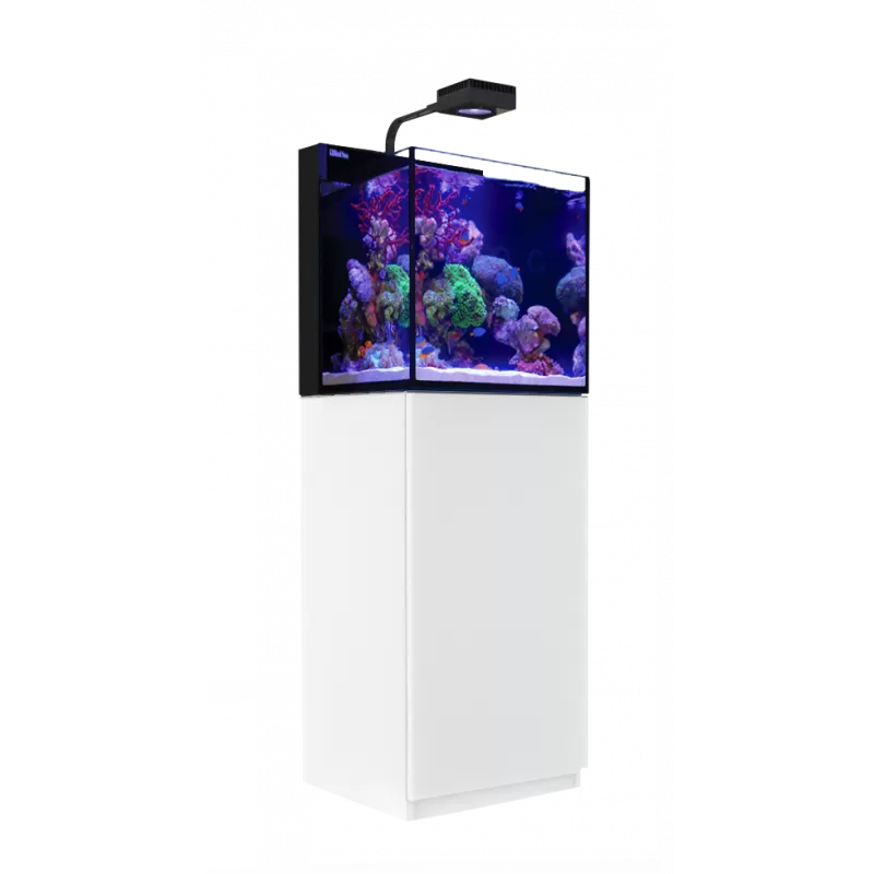 Red Sea MAX NANO G2 Cube kopen? | Coralandfishstore Red Sea MAX NANO G2 Cube kopen? | Coralandfishstore