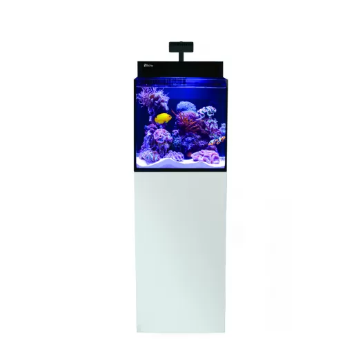 Möchten Sie Red Sea MAX NANO G2 Cube kaufen? | Coralandfishstore