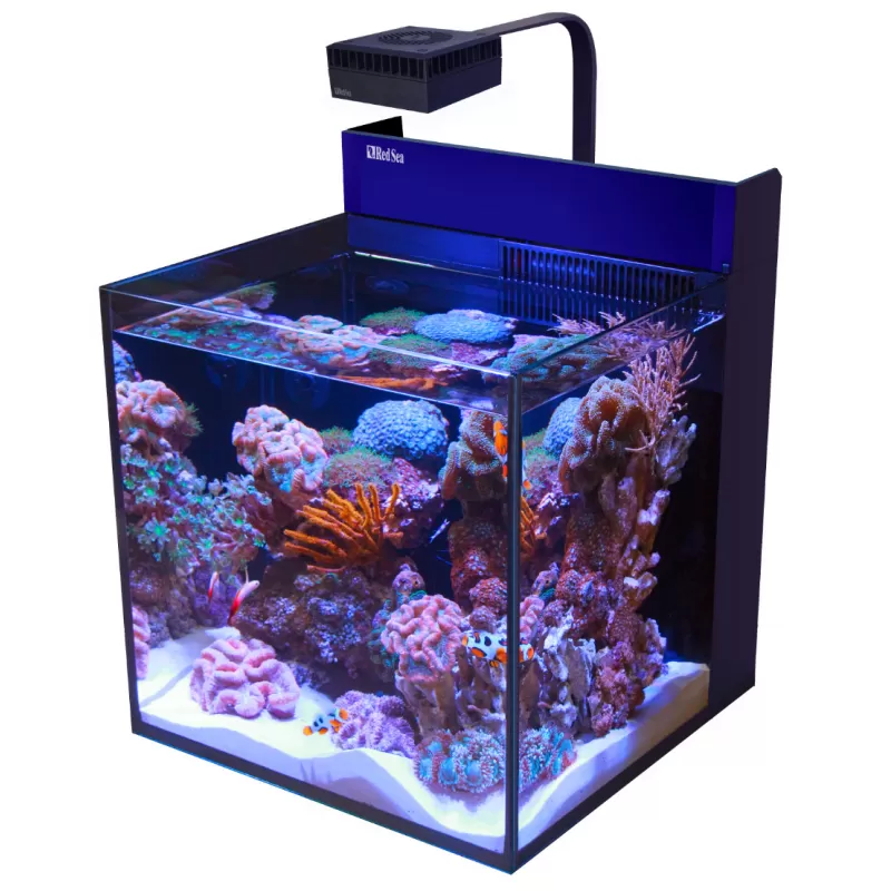 Möchten Sie Red Sea MAX NANO G2 Cube kaufen? | Coralandfishstore Möchten Sie Red Sea MAX NANO G2 Cube kaufen? | Coralandfishstore