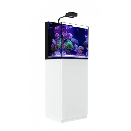 Möchten Sie Red Sea MAX NANO G2 Cube kaufen? | Corallandfishstore