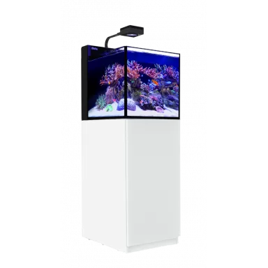 Möchten Sie Red Sea MAX NANO G2 Cube kaufen? | Corallandfishstore