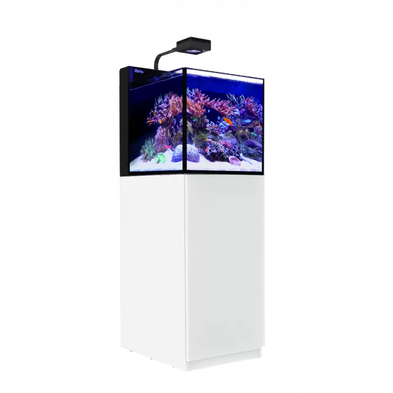 Möchten Sie Red Sea MAX NANO G2 Peninsula kaufen? | Coralandfishstore Möchten Sie Red Sea MAX NANO G2 Peninsula kaufen? | Coralandfishstore
