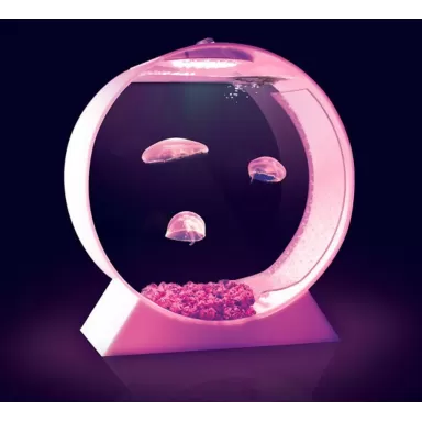 Desktop Jellyfish Tank - kwallen Aquarium bestellen ? l Coralandfishstore.nl
