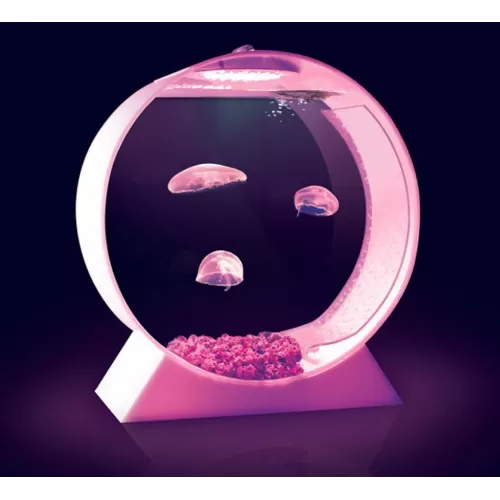 Desktop Jellyfish Tank - kwallen Aquarium