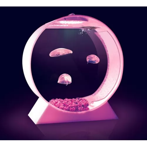 Möchten Sie Desktop Jellyfish Tank - Quallenaquarium bestellen? l Coralandfishstore.nl