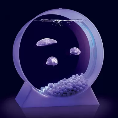 Quallenbecken für den Schreibtisch – Ein Quallenaquarium bestellen? l Coralandfishstore.nl