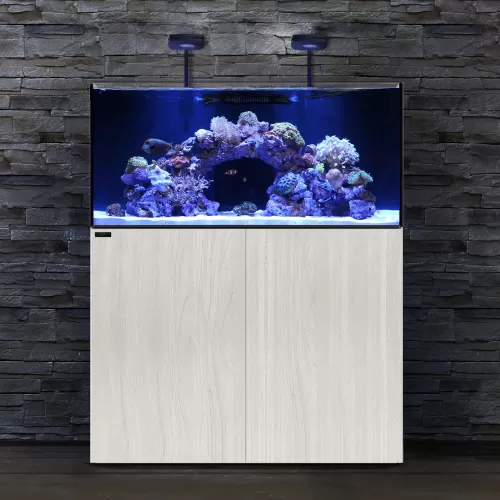 Waterbox Marine X 110.4 Eiche bestellen ? l Coralandfishstore.nl