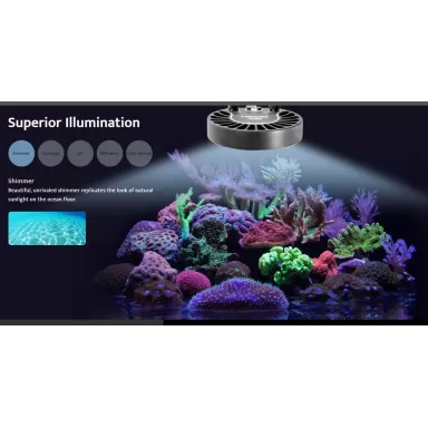 Möchten Sie Kessil LED A80 Thunfischblau kaufen? |Coralandfishstore.nl