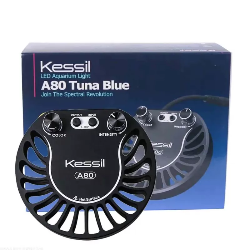 Kessil LED A80 Tuna Blue kopen ? |Coralandfishstore.nl Kessil LED A80 Tuna Blue kopen ? |Coralandfishstore.nl