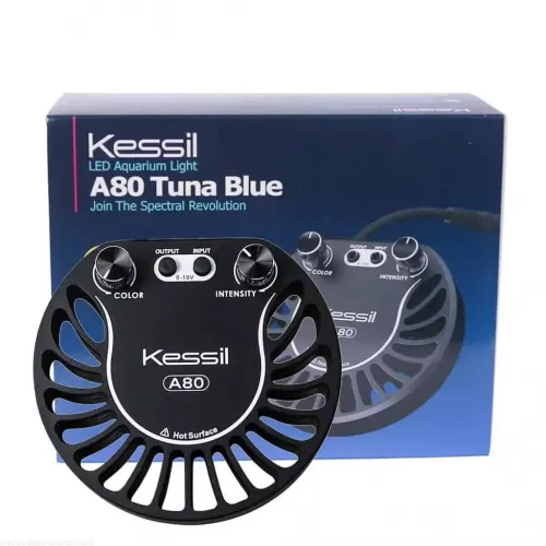 Möchten Sie Kessil LED A80 Thunfischblau kaufen? |Coralandfishstore.nl