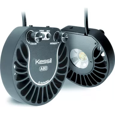 Kessil LED A80 Tuna Blue kopen ? |Coralandfishstore.nl