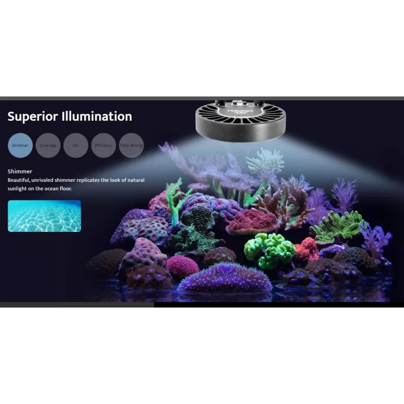 Kessil LED H80 Tuna Flora kopen ? Coralandfishstore.nl Kessil LED H80 Tuna Flora kopen ? Coralandfishstore.nl