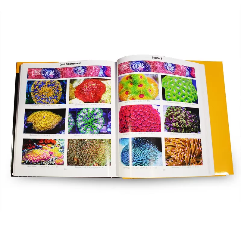Möchten Sie Book The Coral Reef Aquarium Vol II - Regular kaufen? | Coralandfishstore.nl Möchten Sie Book The Coral Reef Aquarium Vol II - Regular kaufen? | Coralandfishstore.nl