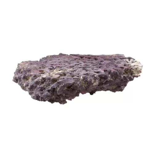 CaribSea Life Rock mit Bakterien Shelf Rock Plates | Coralandfishstore.nl