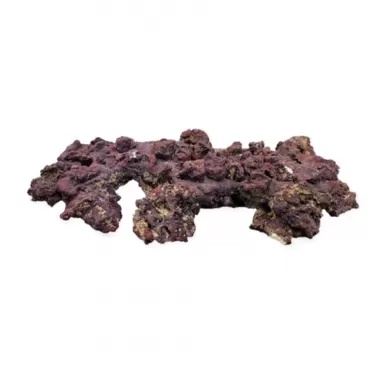 CaribSea Life Rock mit Bakterien Shelf Rock Plates | Coralandfishstore.nl