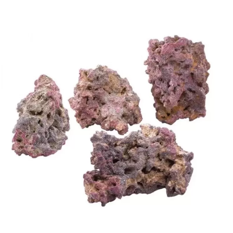 Caribsea Life Rock bestellen? | CORALANDFISHSTORE.NL Caribsea Life Rock bestellen? | CORALANDFISHSTORE.NL