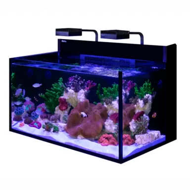 Möchten Sie Red Sea MAX NANO G2 XXL kaufen? | Coralandfishstore.nl