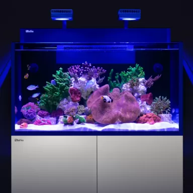 Red Sea MAX NANO G2 XXL kopen? | Coralandfishstore.nl