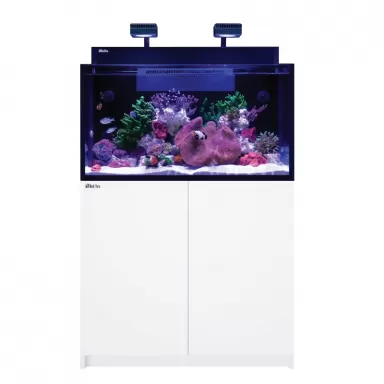 Möchten Sie Red Sea MAX NANO G2 XXL kaufen? | Coralandfishstore.nl