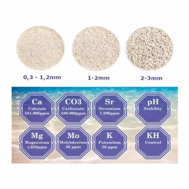 Möchten Sie DVH Aragonit-Natursand 9 kg 2-3 mm kaufen? | Coralandfishstore.nl