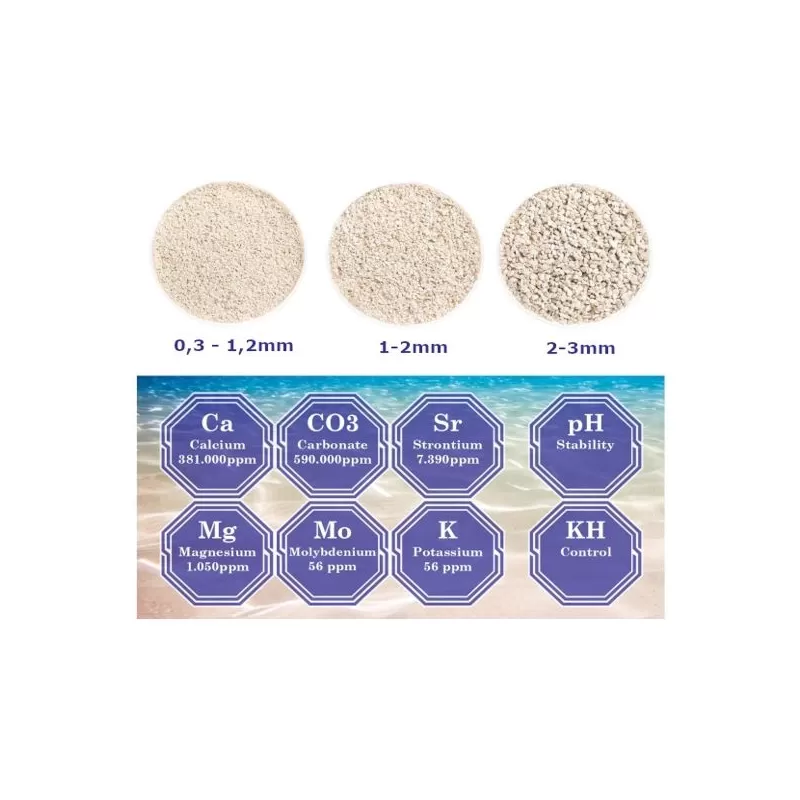 DVH Aragonite Natural Sand 9KG 2-3mm kopen? | Coralandfishstore.nl DVH Aragonite Natural Sand 9KG 2-3mm kopen? | Coralandfishstore.nl