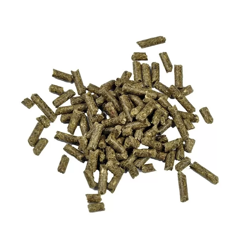 Dr.Bassleer Biofish Food Shrimp Sticks Acai 150 g