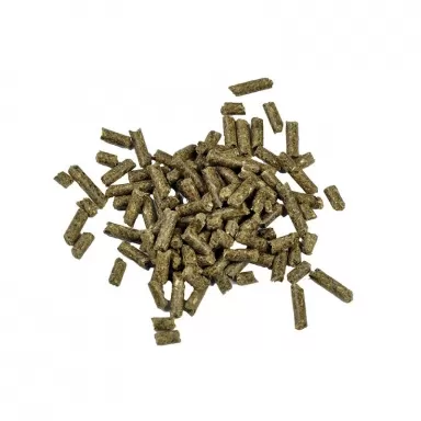 Dr. Bassleer Biofish Food Shrimp Sticks Chlorella  kopen ? | Coralandfishstore.nl