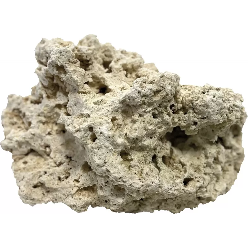 Blue marine dry reef rock 20kg 9-12cm bestellen ? l Coralandfishstore.nl Blue marine dry reef rock 20kg 9-12cm bestellen ? l Coralandfishstore.nl