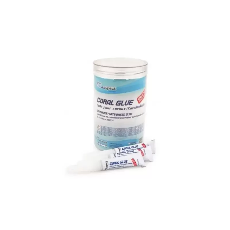 Maxspect Glue Stick 5 gr. Pot a 20 stuks