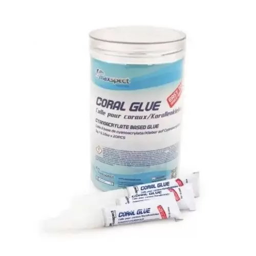 Maxspect Glue Stick 5 gr. Pot a 20 stuks