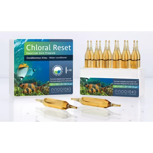 Prodibio chloral reset 30 caspules