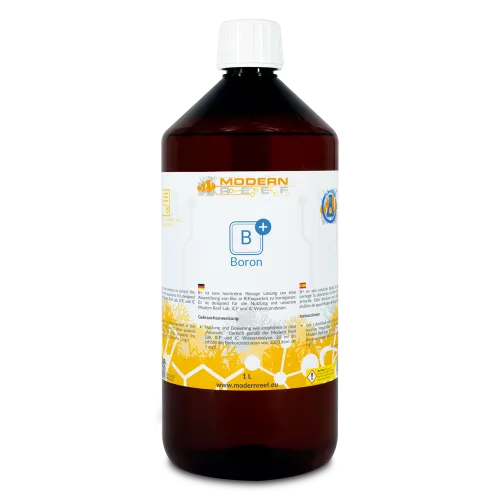 Modern Reef B+ 1000 ml (Bor)