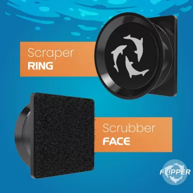 Flipper Cleaner Pico Black kopen? Coralandfishstore.nl