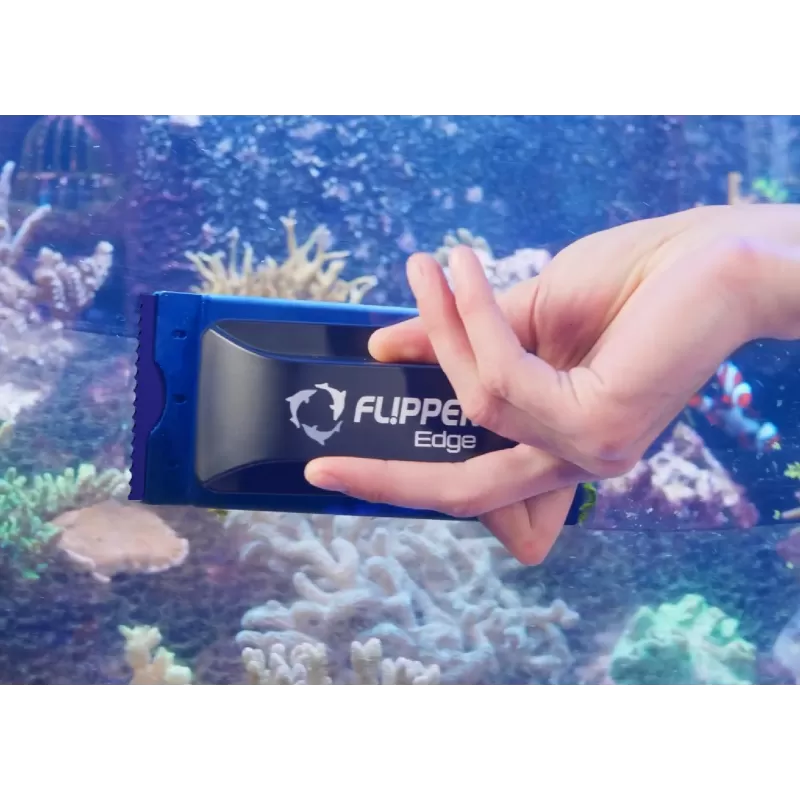 Flipper Edge standard Plastic Blades kopen? | Coralandfishstore.nl Flipper Edge standard Plastic Blades kopen? | Coralandfishstore.nl